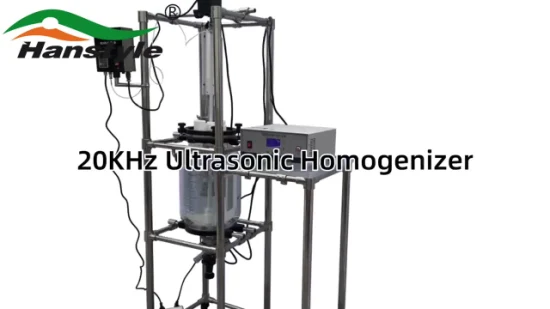 20kHz Ultrasonic Homogenizer Mixing Dispersion Machine with High Extraction Rate in Short Time